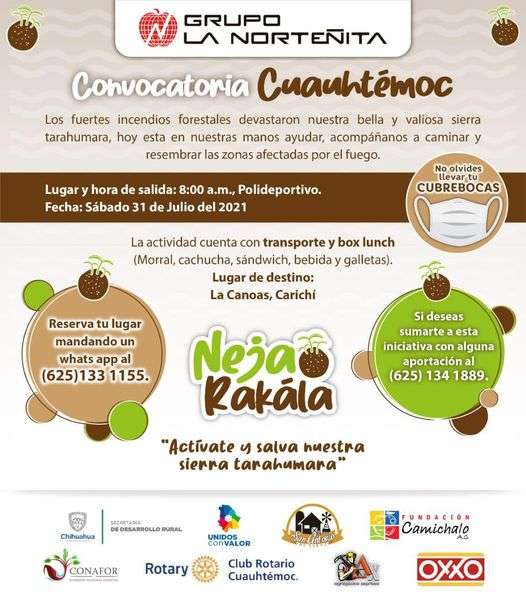 Grupo la norteñita invita a reforestar la sierra de chihuahua