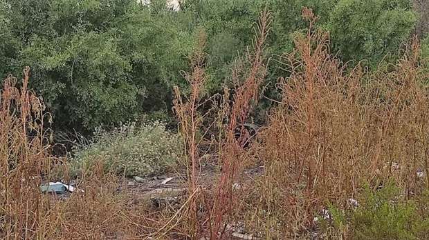 Identifican a hombre asesinado en meoqui