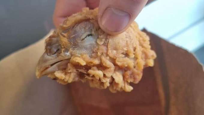 Muestran una cabeza de pollo encontrada en un combo de kfc
