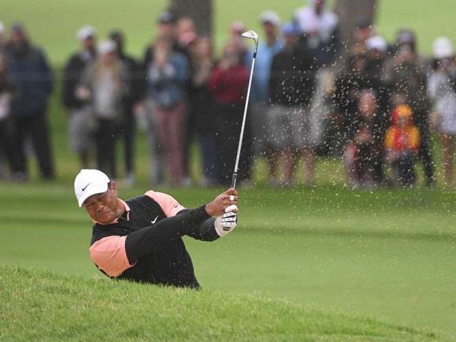 Tiger woods se desploma en el campeonato de la pga