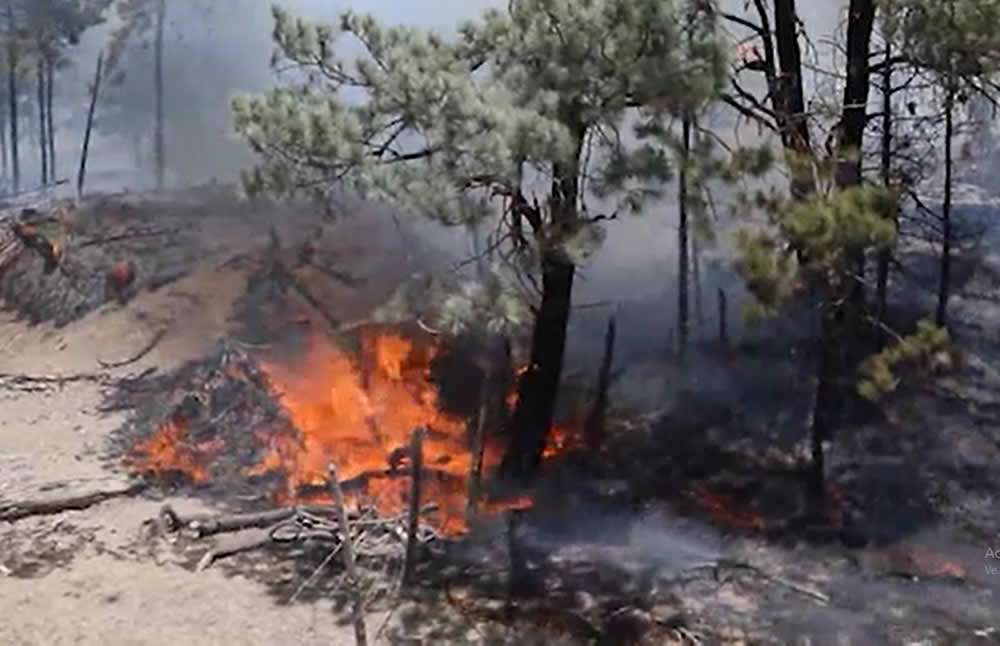 Casi 10 mil hectáreas siguen ardiendo en chihuahua