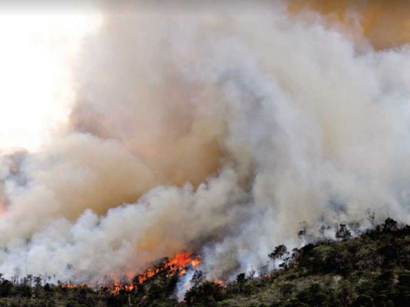Han afectado incendios forestales más de mil hectáreas en coahuila