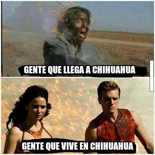 Es cuestión de acostumbrarse