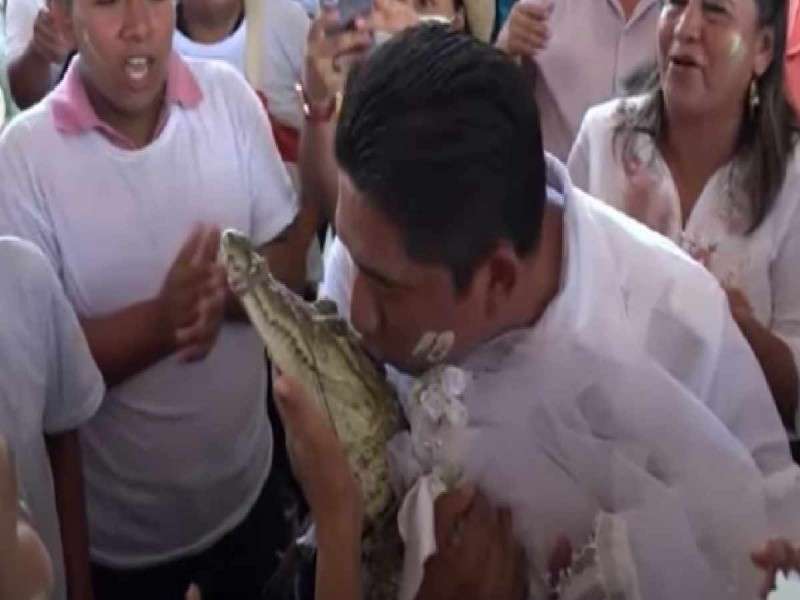 Alcalde mexicano se casa con caimán