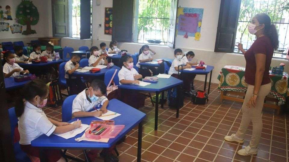 Elimina grados y materias nuevo plan de estudios de ciclo escolar 2023-2024