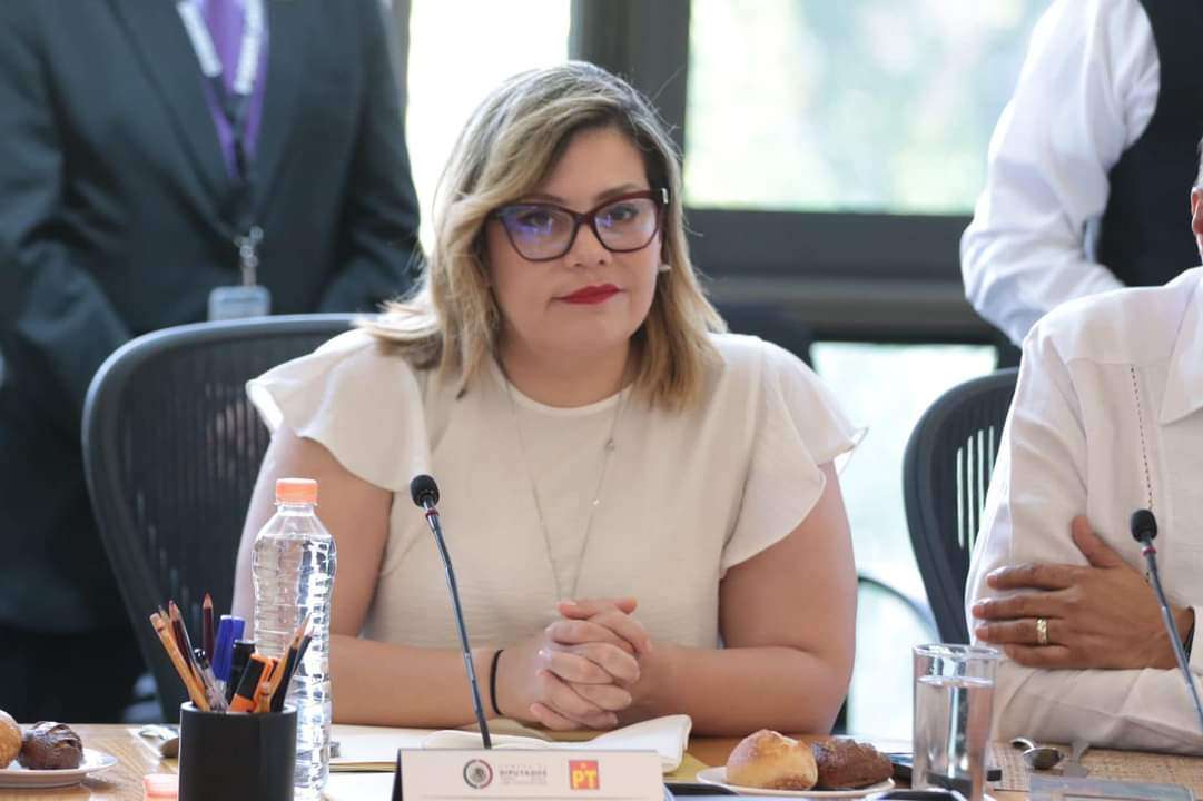 Alerta Lilia Aguilar por fraudes con créditos y casas de Infonavit 