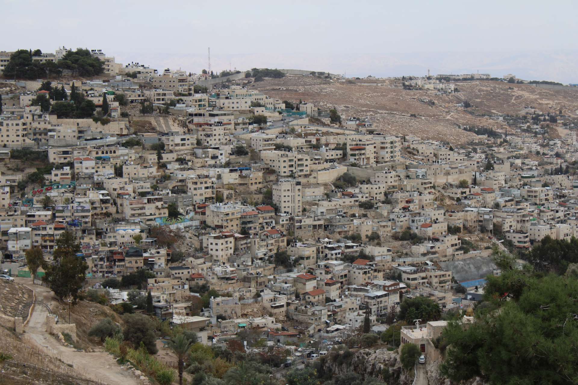 La vista