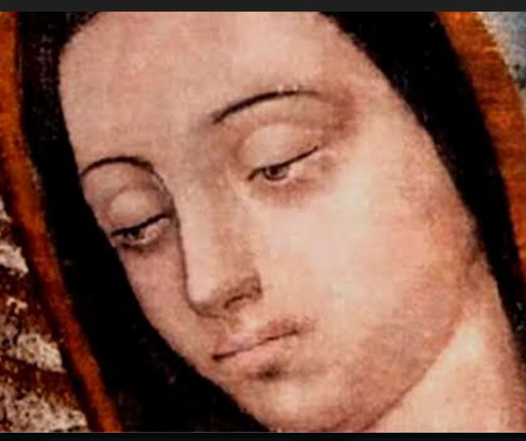 VIRGEN CADA VEZ
MÁS ADMIRABLE