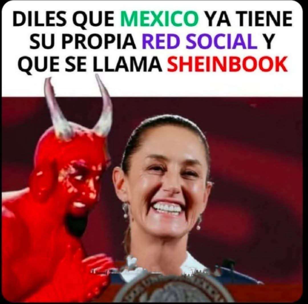 Sheinbook del Bienestar 