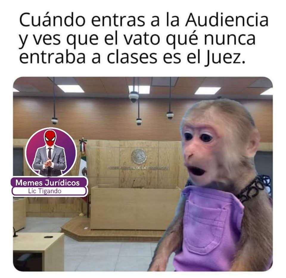 El Juez