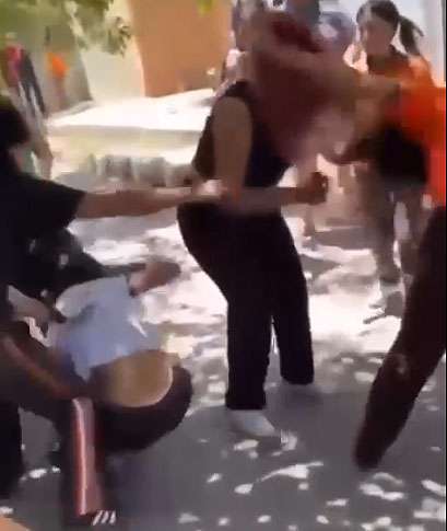 Video: se armó la gresca