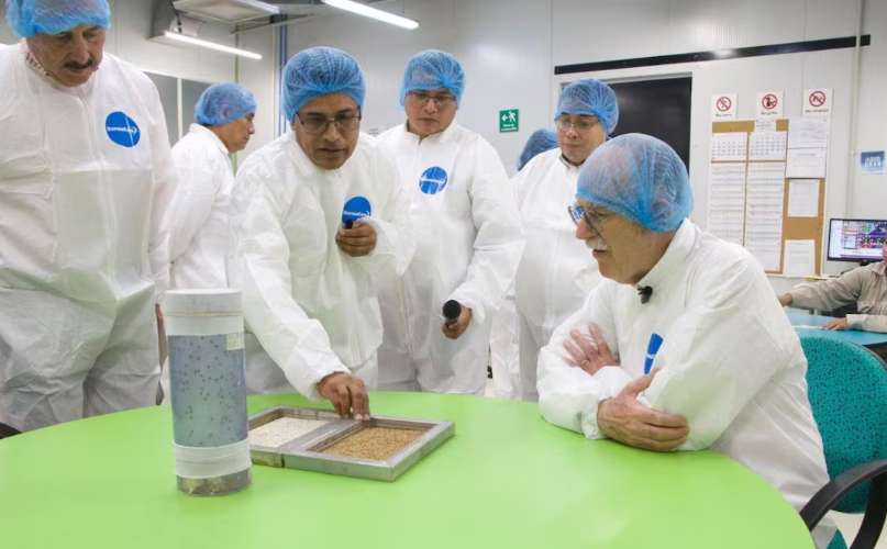 Reaperturan planta de producción de moscas estériles en Chiapas