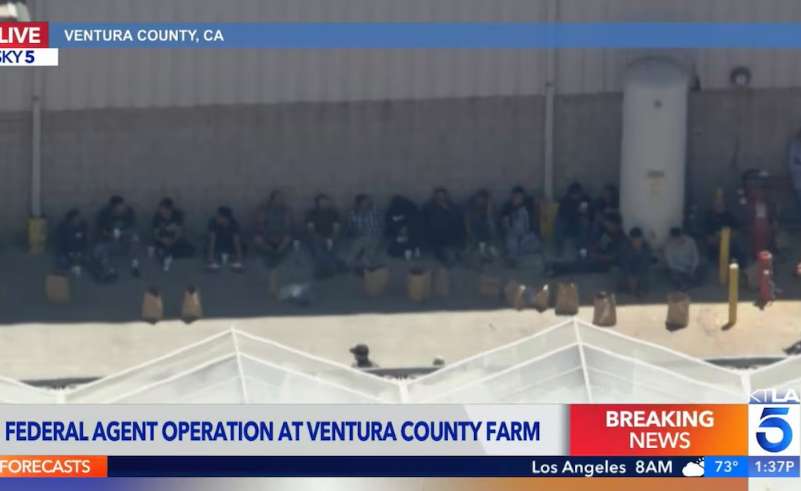 Capturan a decenas de migrantes en granjas agrícolas de California
