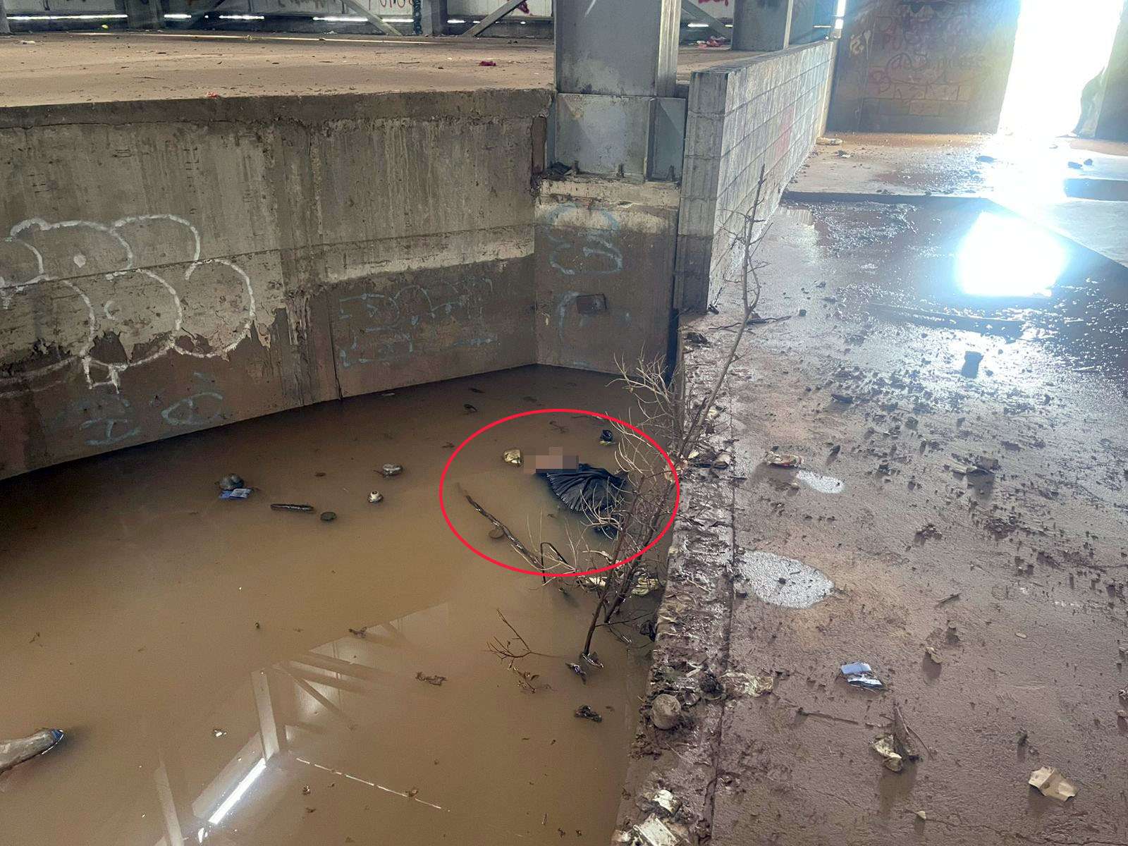 Hallan una muerta semidesnuda flotando en una fosa
