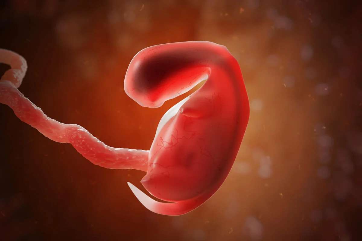 Es la Cdmx la entidad donde más abortos se realizan