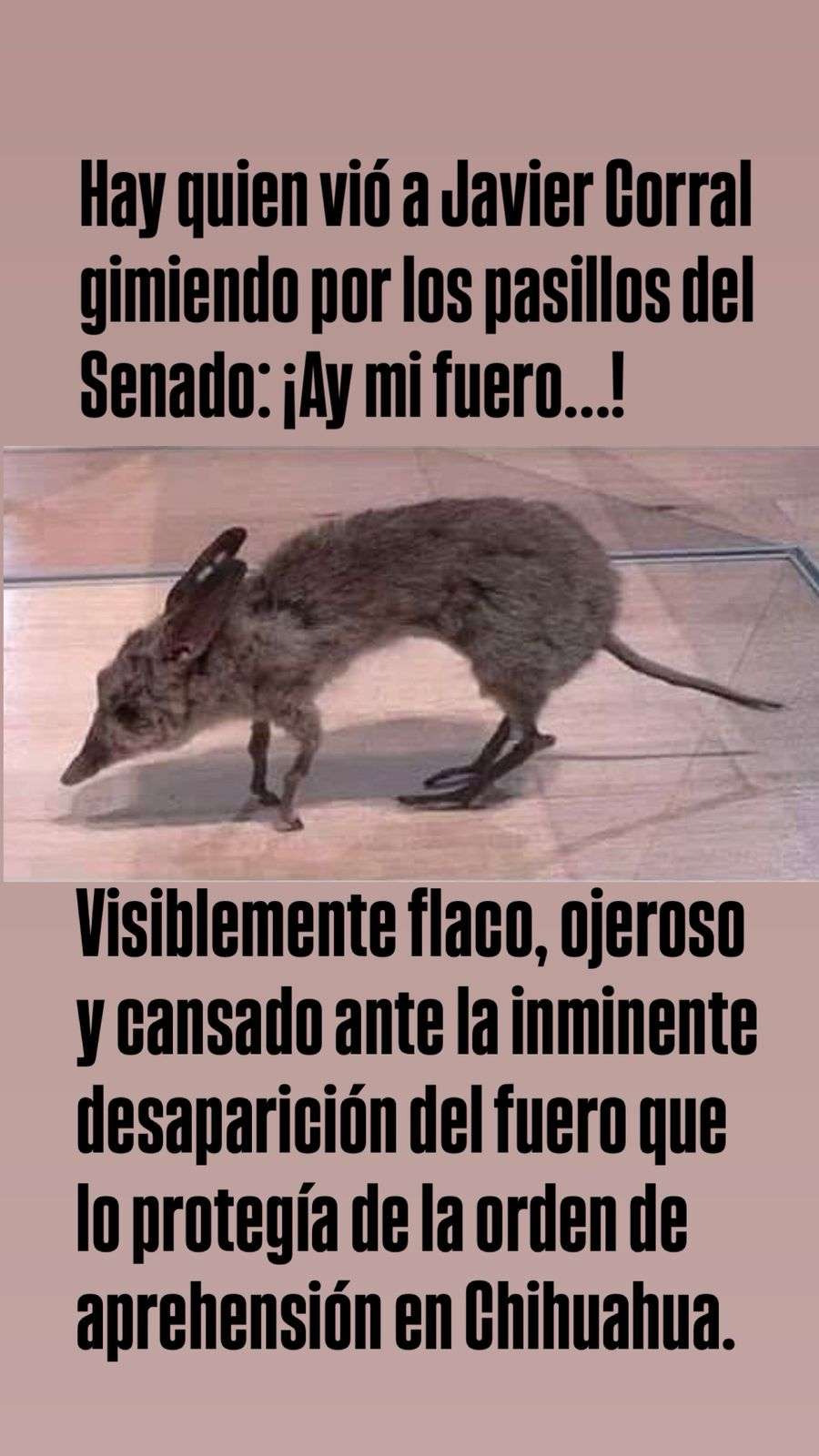 ¡Ay mi fuero!