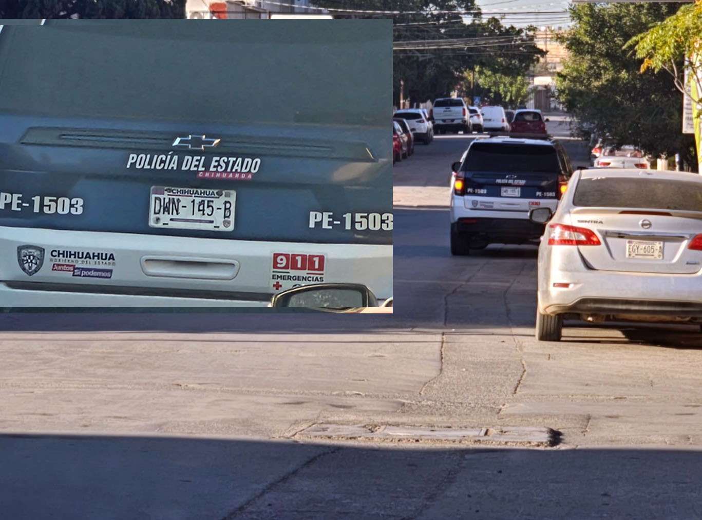 [BURRITOS DE CARPA]