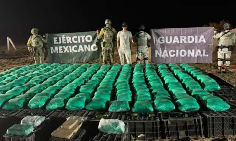 Cae trailero en Sonora con cargamento falso de chiles; era meta y fentanilo