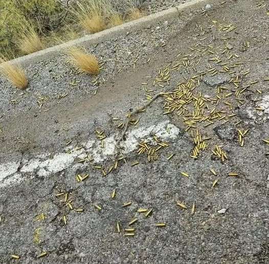 [Se calentó de nuevo Ojinaga]