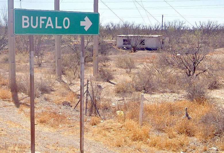 [Competencia de Centinela]