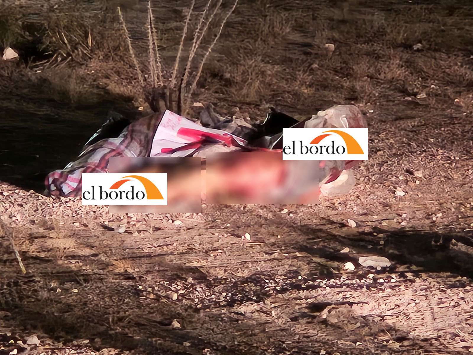 Desmembrados y con mensaje hallan 3 cuerpos