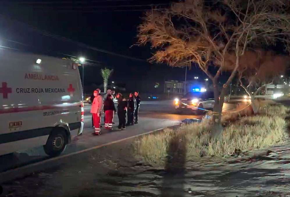 Muere atropellado en la carretera Chihuahua a Aldama