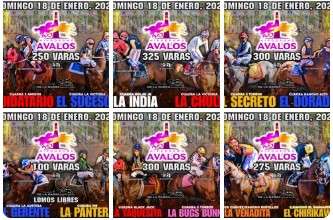 ¿Regresan los permisos para las carreras de caballos?