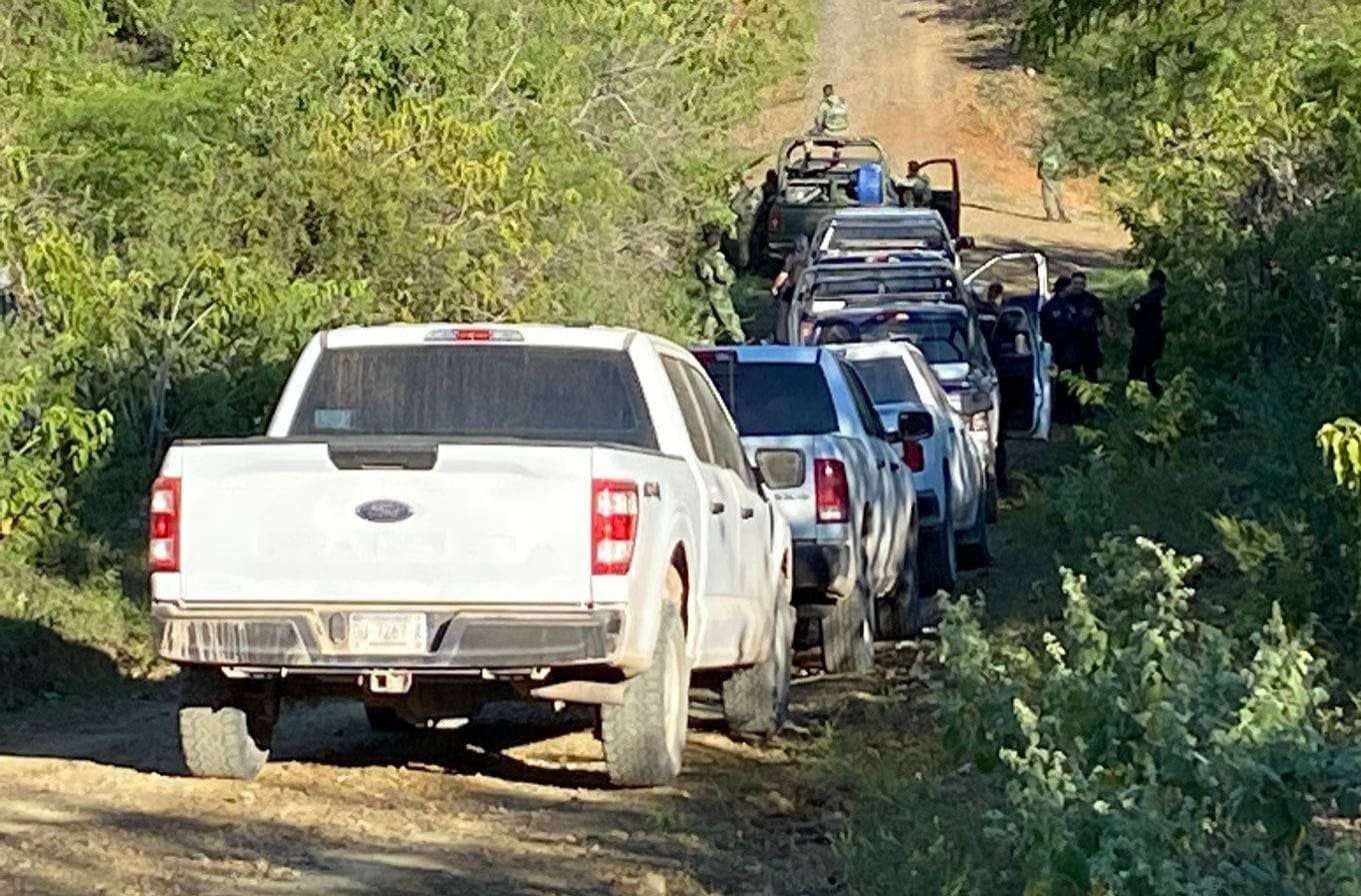 Ejecutan a adolescente en Guadalupe y Calvo