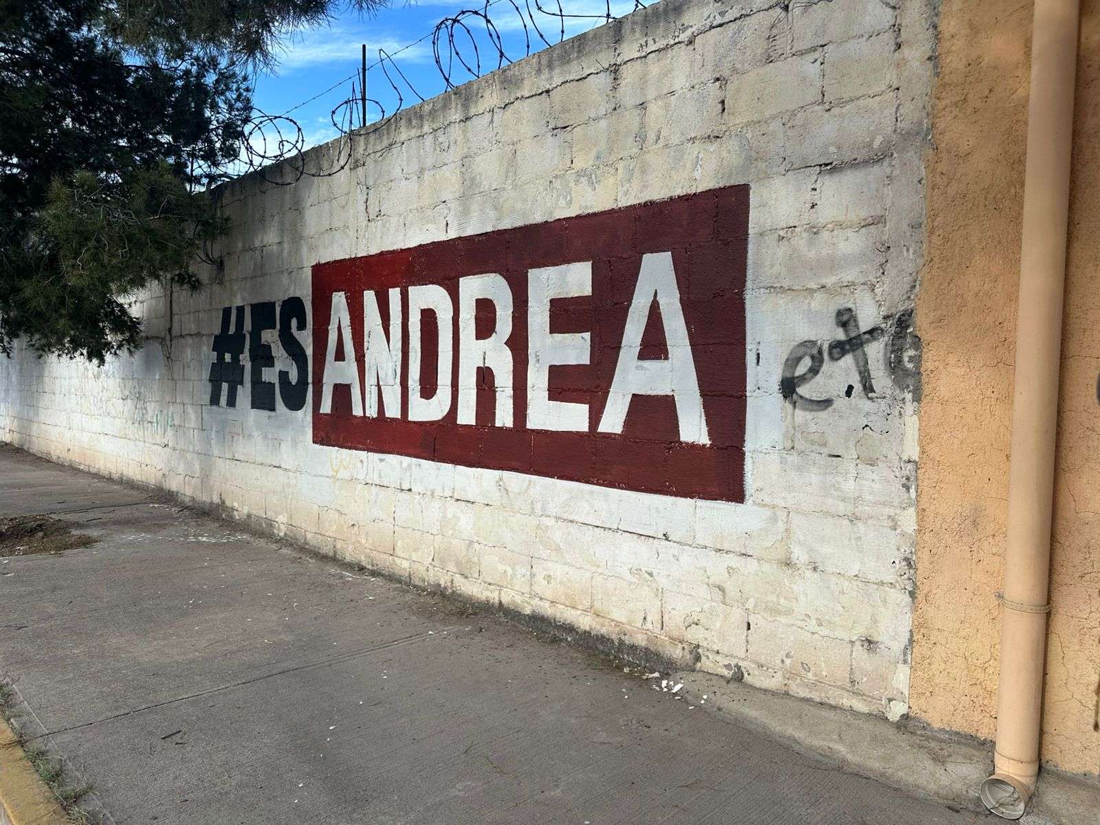 Se quejan vecinos de Junta de los Ríos por pintas a favor de Andrea Chávez
