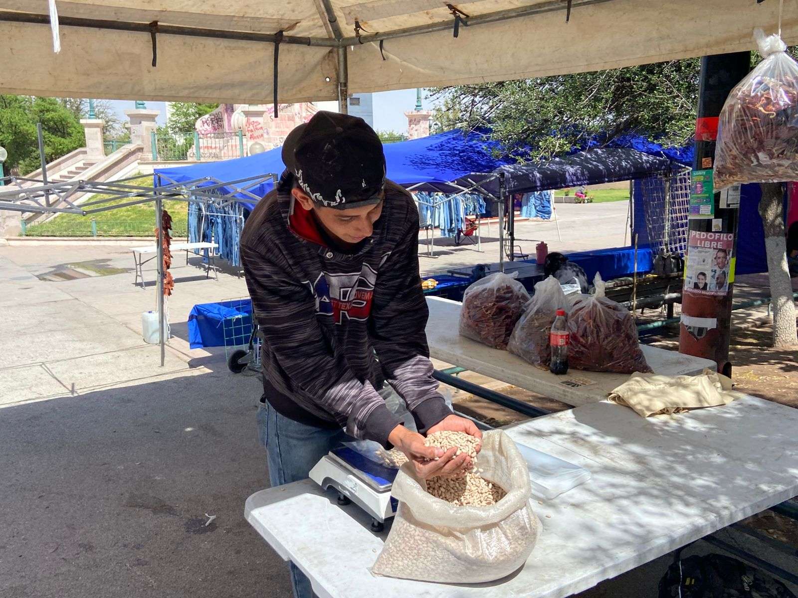 Comercializan con éxito más de 250 kilos de frijol