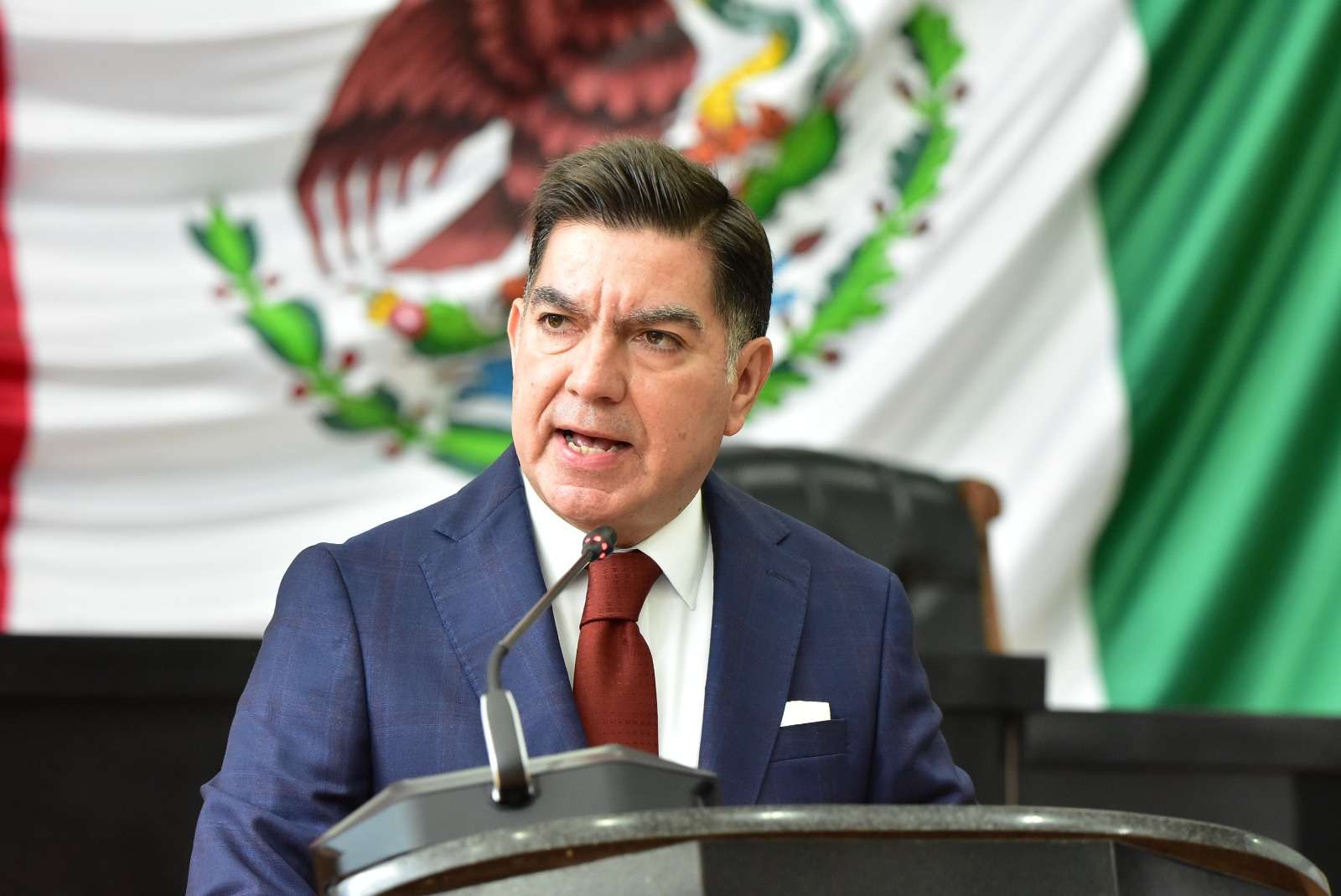 Impulsan reforma para enfrentar el maltrato animal y tráfico ilegal
