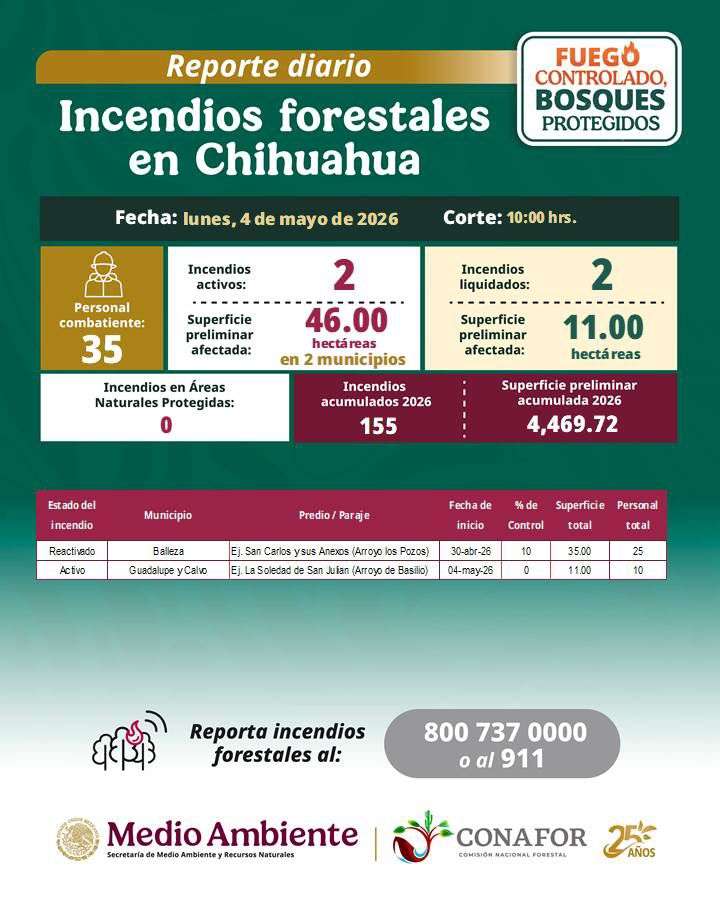 Combaten dos incendios forestales en Balleza y Guadalupe y Calvo