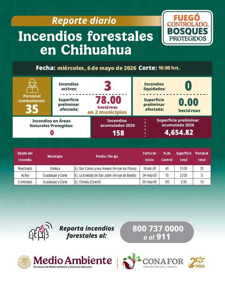 Reaviva incendio en Balleza; brigadistas trabajan en la zona serrana 