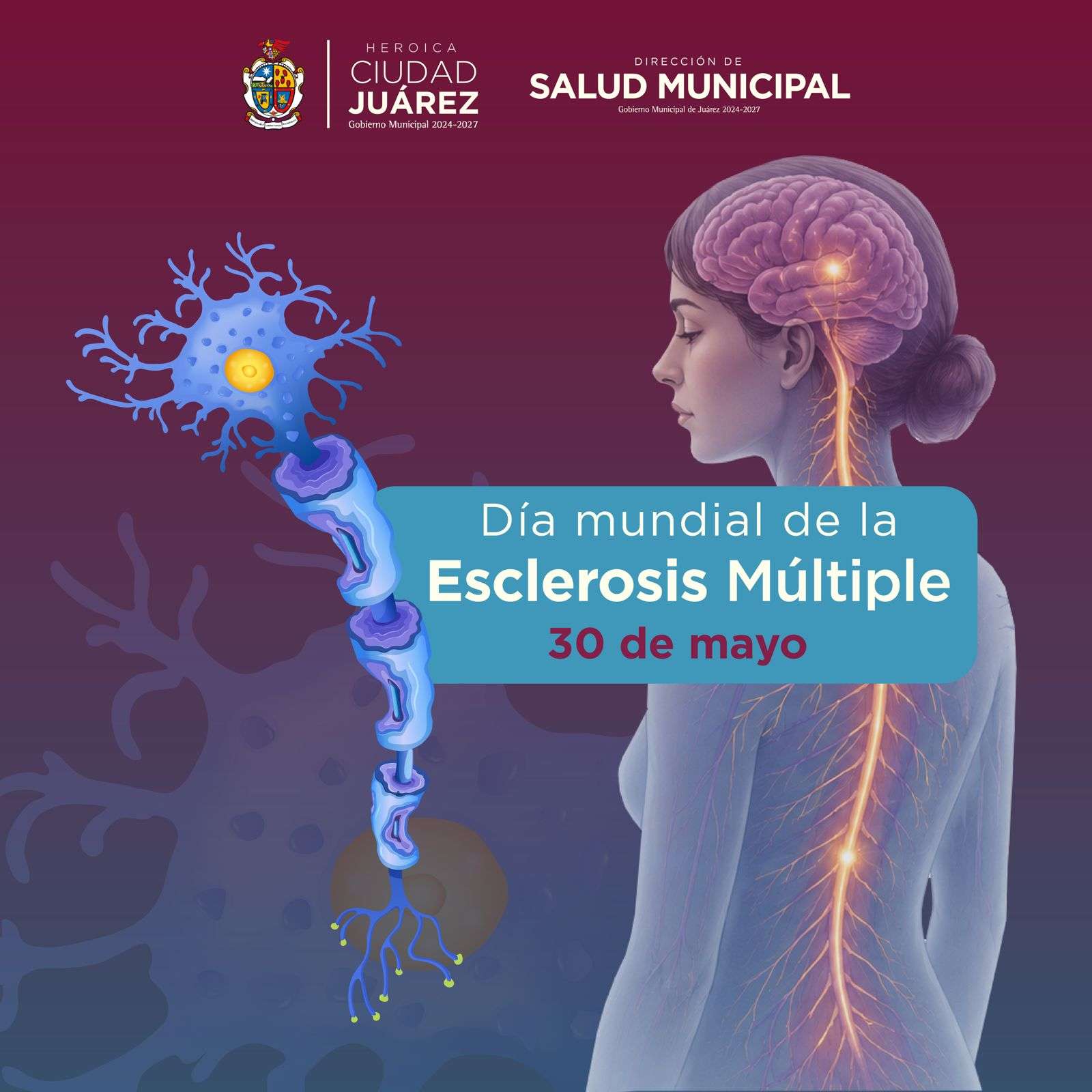 Exhortan a crear conciencia sobre esclerosis múltiple
