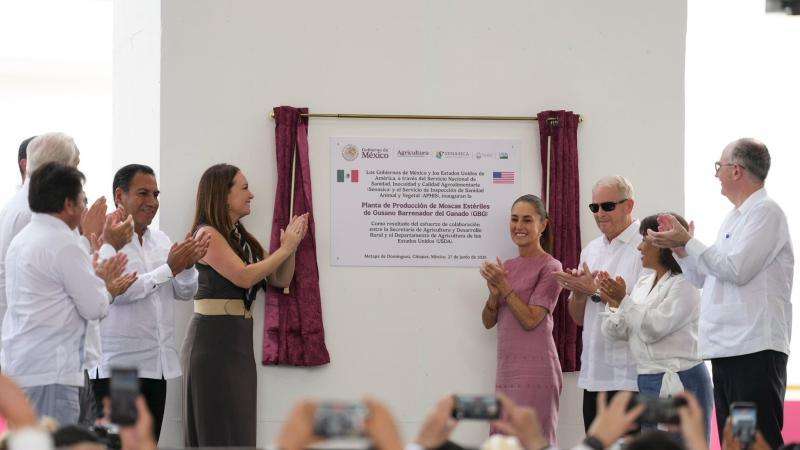 Sheinbaum inaugura fábrica de moscas para combatir al gusano barrenador
