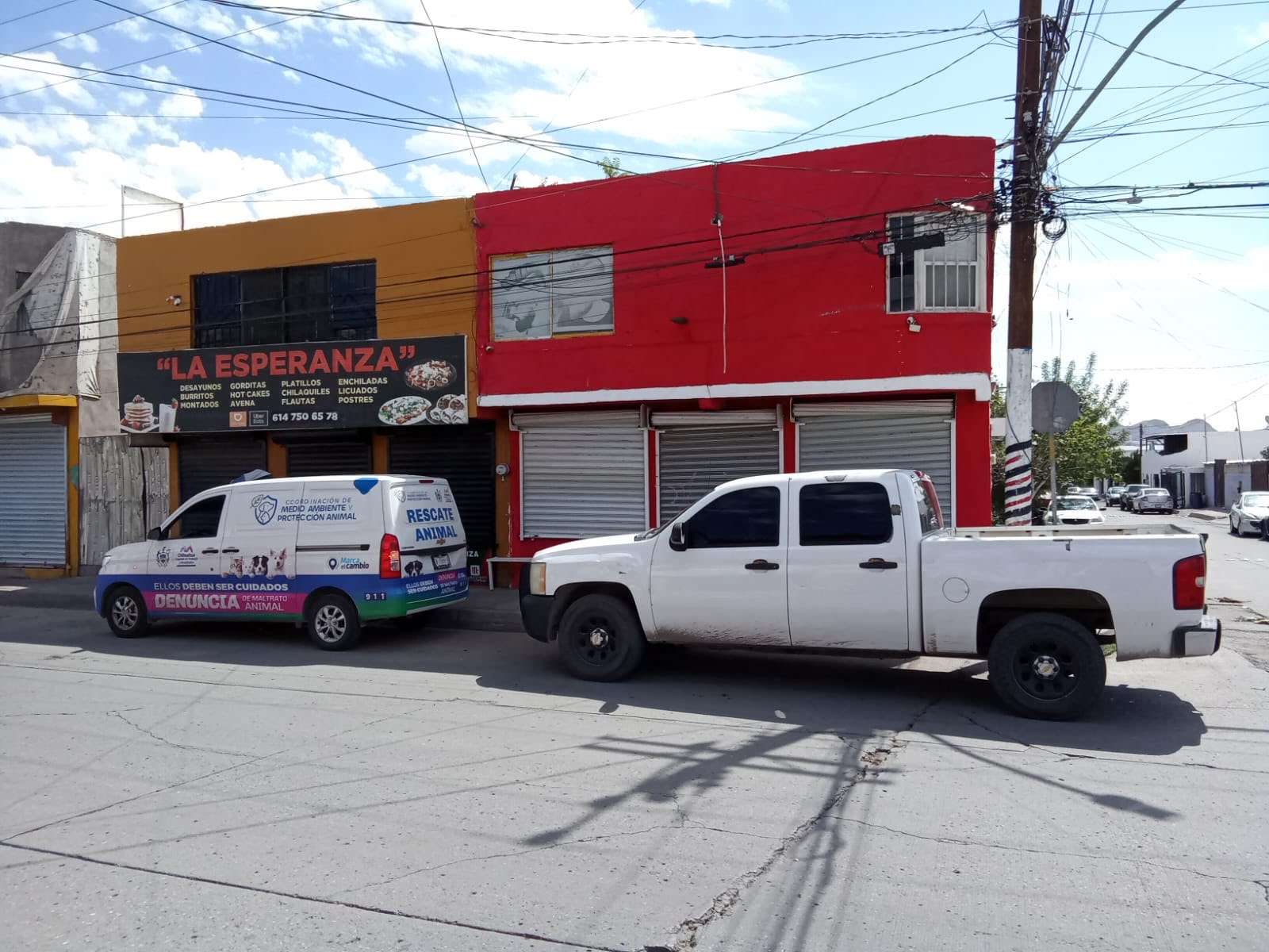 Cae el perrógino