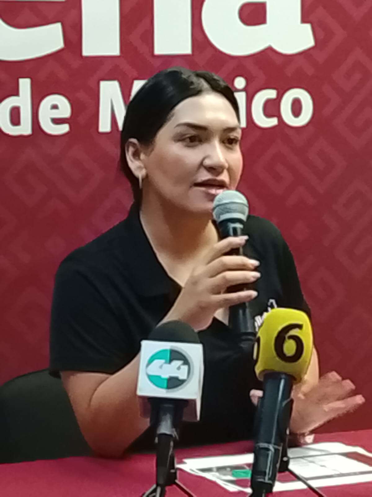 Anuncia Morena asambleas de soberanía en Chihuahua