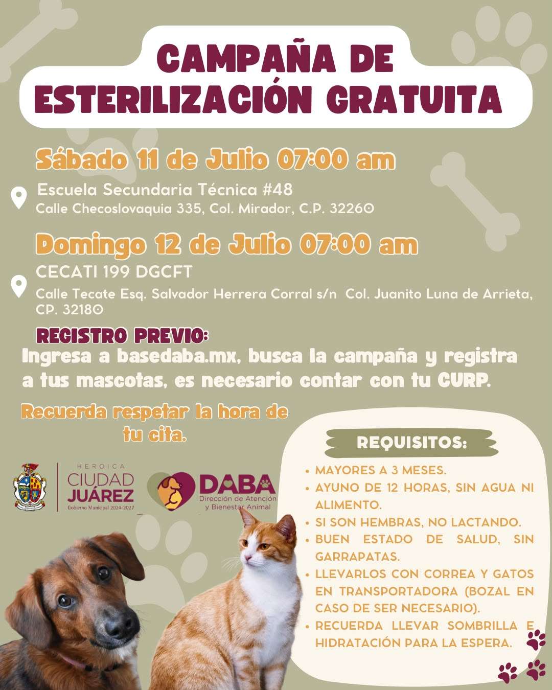 Ofrecen esterilización gratuita a mascotas hoy y mañana