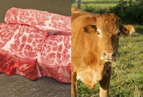 Descarta Canacintra alza inmediata.en precio de carne
