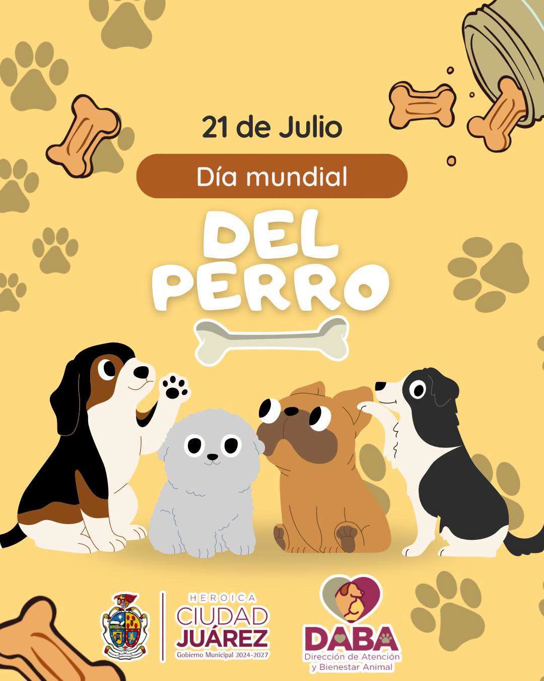 Celebran hoy Día Mundial del Perro 