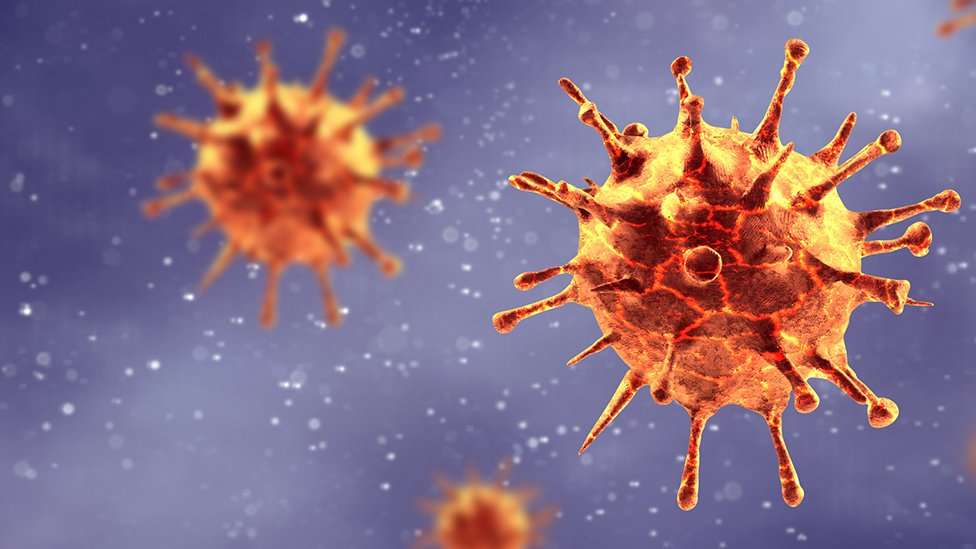Usan por primera vez inteligencia artificial para crear virus nuevos
