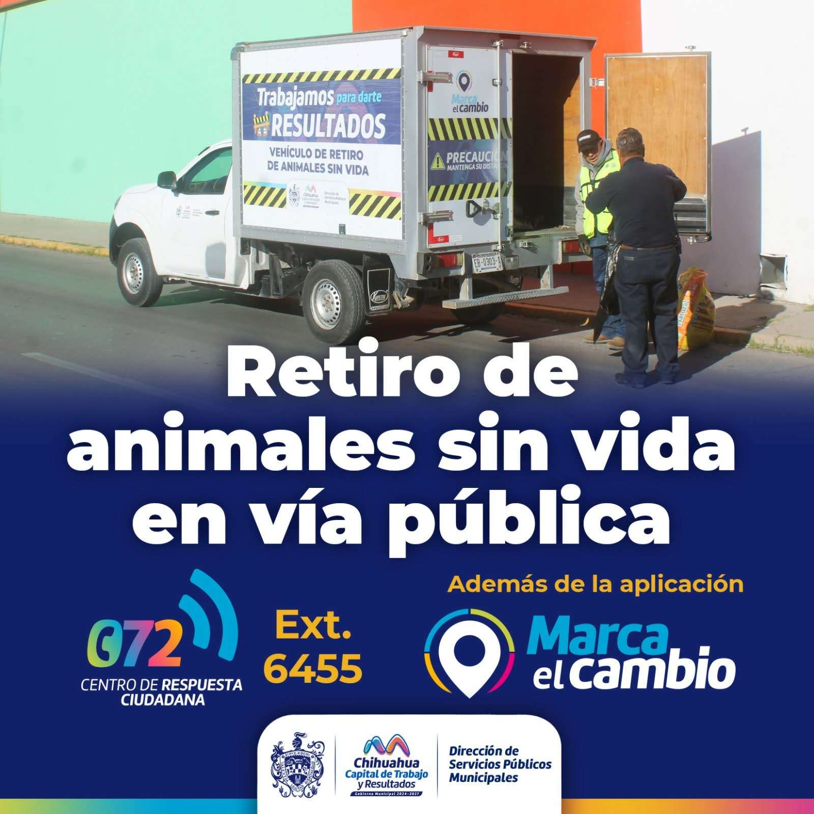 Ofrecen servicio de retiro de animales sin vida en vía pública