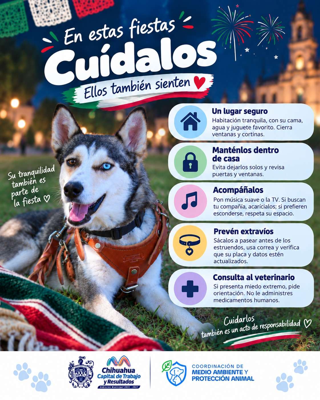 Llama Municipio a cuidar de las mascotas durante Fiestas Patrias