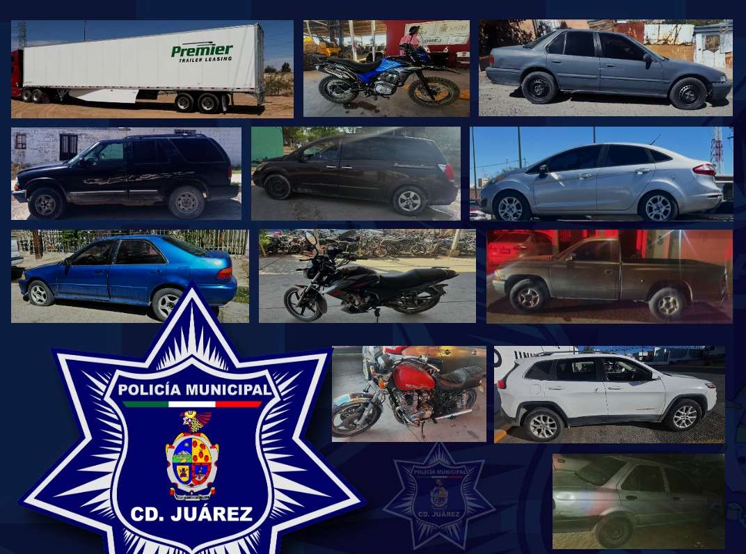 Recuperan 13 vehículos robados durante operativo