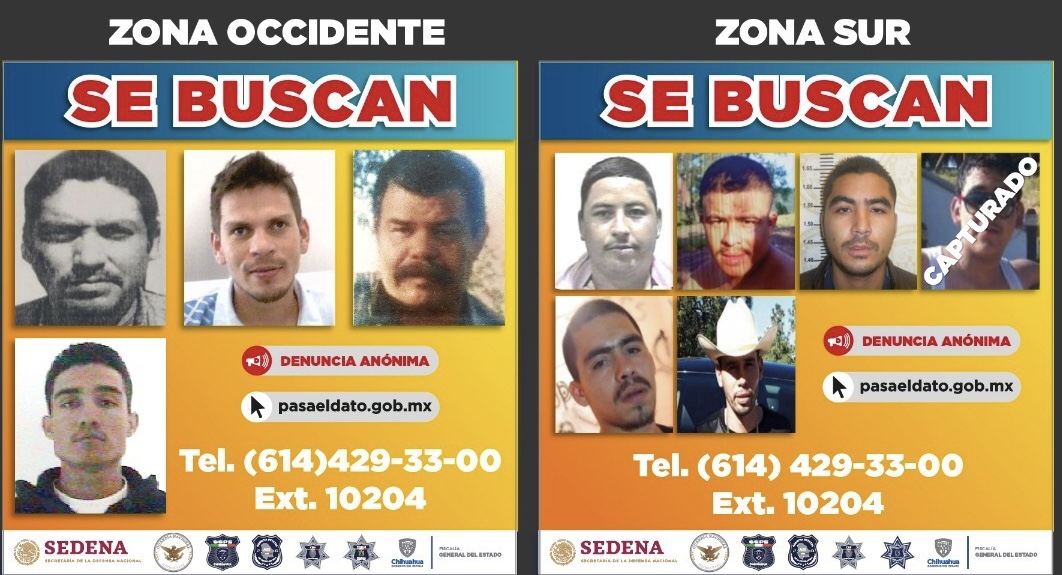 Los más buscados